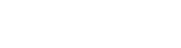 Siriusxm Wordmark Wht